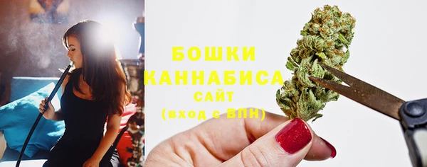 дживик Александровское