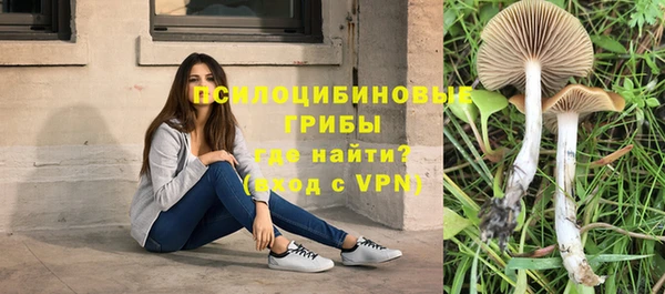 МДПВ Белокуриха